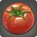 Blood Tomato
