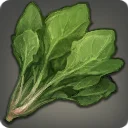 Mist Spinach