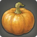 Giant Pumpkin