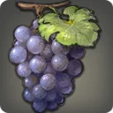 Lowland Grapes