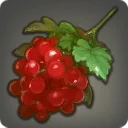 Blood Currants