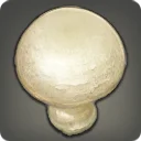 Button Mushroom
