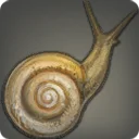 Allagan Snail