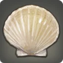 Glass Scallop