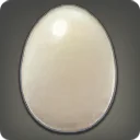 Splendid Ant Egg