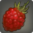 Grade 4 Artisanal Skybuilders' Raspberry