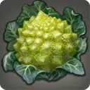 Broccoflower
