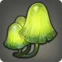 Connoisseur's Glimshroom