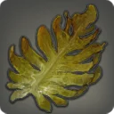 Malm Kelp