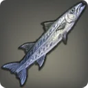 Ogre Barracuda