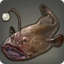 Monkfish