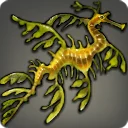 Leafy Seadragon