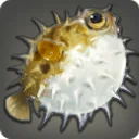 Balloonfish