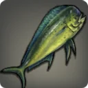 Mahi-mahi