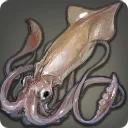 Giant Squid