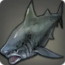 Megalodon