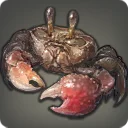 River Crab