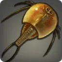 Aegis Shrimp