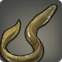 Lamprey