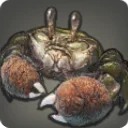 Mitten Crab