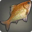 Velodyna Carp