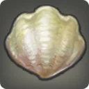 Gigant Clam