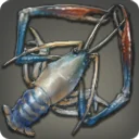 Blueclaw Shrimp