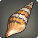 Ogre Horn Snail