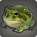 Bullfrog