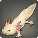 Tiny Axolotl