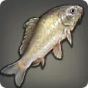 Velodyna Grass Carp