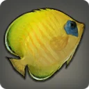 Butterfly Fish