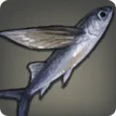 Gliding Fish