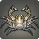 Gauntlet Crab