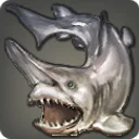 Mitsukuri Shark