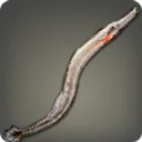 Snipe Eel