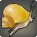 Toffee Snail