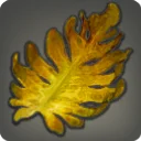 Shellfracture Kelp