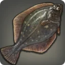 Kholusian Flounder