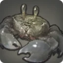 Shadow Crab