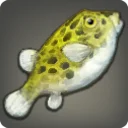 Lemonfish