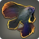 Gilded Batfish