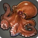Narunnairian Octopus