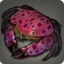 Ruby-spotted Crab