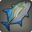 Bluefin Trevally