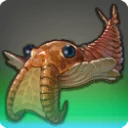 Anomalocaris