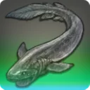 Frilled Shark