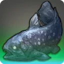 Coelacanthus