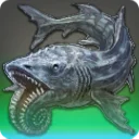 Helicoprion