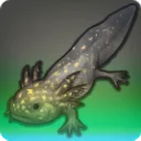 Hundred-eyed Axolotl